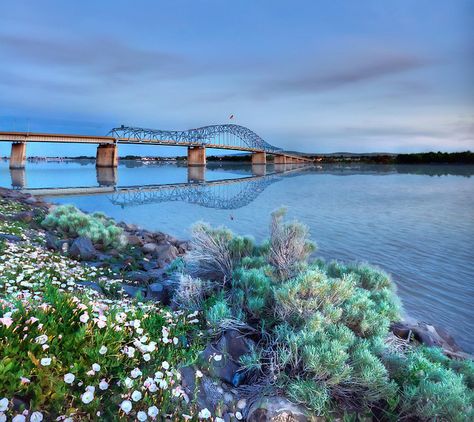 Blue Bridge, spanning the Columbia River between Pasco and Kennewick, Washington.  Tri-Cities, WA Richland Washington, Mercy Thompson, Kennewick Washington, Washington State Travel, Washington Travel, Wa State, Eastern Washington, San Juan Island, Evergreen State