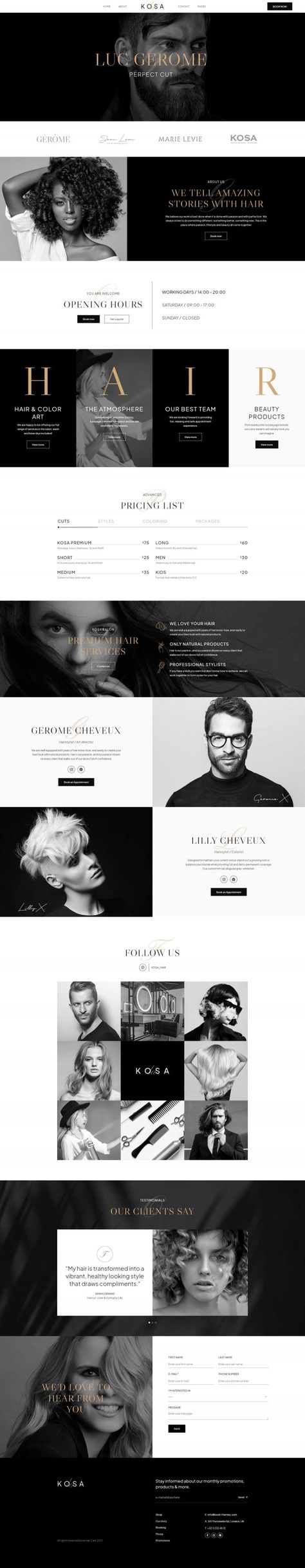 Wordpress theme for hair salon and hairdresser - elegant minimal monochromatic design Hair Salon Website Design, Salon Website Design, Website Design Landing Page, Landing Page Inspiration, Wordpress Templates, Website Design Wordpress, Modern Web Design, Wordpress Design, Web Project