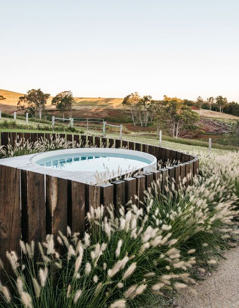 A Vacant Cow Paddock Turned Relaxed Australian Country Garden! Australian Garden Design, Australian Country, Australian Native Garden, Australian Plants, Australian Garden, Coastal Gardens, Native Garden, Plunge Pool, Country Garden