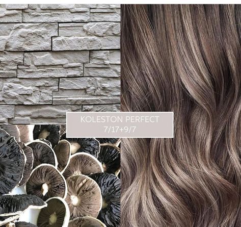 Ash Brown Formula Wella, Wella Formulas Lowlights, Mushroom Brown Formula Wella, Strawberry Ash Blonde Hair, Mushroom Bronde Formula, Ash Brown Hair Formula, Mushroom Blonde Hair Color, Light Ash Brown Hair Color, Wella Formulas