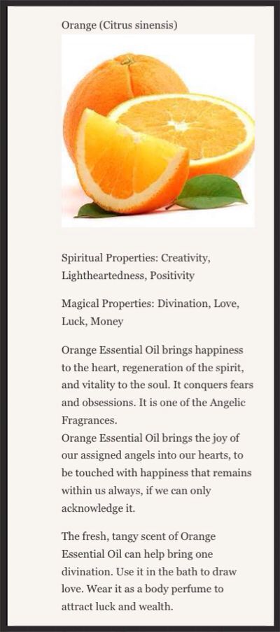 Orange Oil Witchcraft, Orange Essential Oil Magical Properties, Orange Meaning Witchcraft, Orange In Witchcraft, Oranges Magical Properties, Magical Properties Of Oranges, Oranges In Witchcraft, Orange Peel Witchcraft, Orange Peel Magical Properties