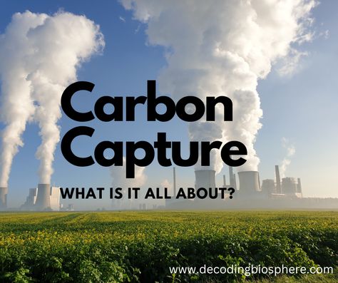 Carbon Capture: What is it all About? Carbon Capture, Microscopic Organisms, Biology Resources, Carbon Sink, Energy Resources, Fossil Fuels, Sustainable Future, Carbon Dioxide, Modular System