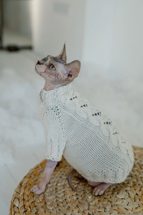 Sphynx Cat Dress Hairless Cat Knit Clothing Merino Wool White Cotton Cat Clothes - Etsy UK Knit Clothing, Cat Dress, Hairless Cat, Cat Dresses, Sphynx Cat, Sphynx, Cat Clothes, Knit Outfit, Pet Clothes