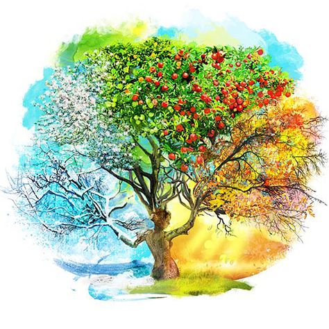 Apple Tree Drawing, Four Seasons Painting, Tree Tat, Tree Tattoo Designs, Tree Of Life Art, Tree Of Life Tattoo, Tree Artwork, Seasons Art, Tree Drawing