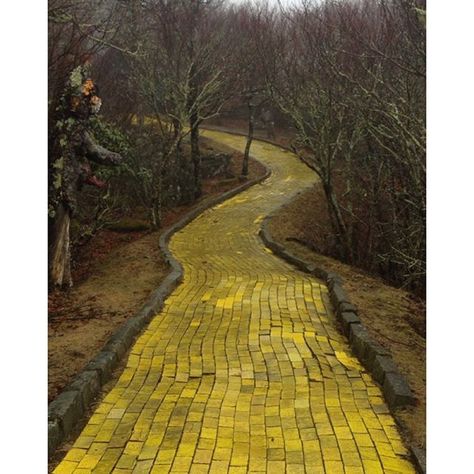 Wizard Of Oz Theme, Follow The Yellow Brick Road, Wizard Of Oz 1939, The Yellow Brick Road, Land Of Oz, The Wonderful Wizard Of Oz, Brick Road, Yellow Brick Road, Amazing Pics