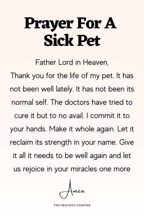 Dog Prayers Sick, Prayers For Animal Healing, Prayers For Pets, Prayers For Dogs Healing Pets, Prayer For Loss Of Pet Dog, Sick Pet Quotes, Prayer For Sick Dog, Prayers For Sick Pets Dogs, St Francis Prayer For Sick Animals