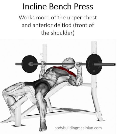 Incline Smith Machine Press Muscles Worked Split Workout Routine, Resistance Bands Chest, Chest Exercise, Bodybuilding Routines, Latihan Dada, Best Resistance Bands, Incline Bench, Gym Workouts For Men, Smith Machine