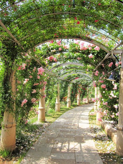 Pergola Aesthetic, Jannah Paradise Aesthetic, Big Garden, Pretty Landscapes, Pergola Kits, Pergola Shade, Dream House Decor, Nature Aesthetic, Pretty Places