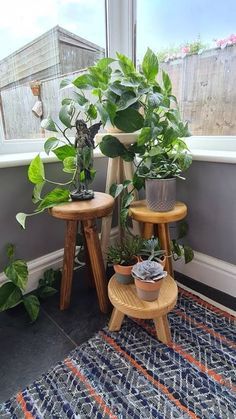 Light Oak Stain, Farmhouse Style Lamps, Plant Pot Stand, Mirror Frame Diy, Pot Stand, Right Light, Diy Plant Stand, Oak Stain, Pretty Plants