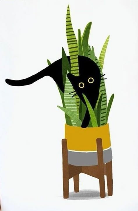 A Black Cat, Cat Sitting, A Black, Black Cat, Green, Black