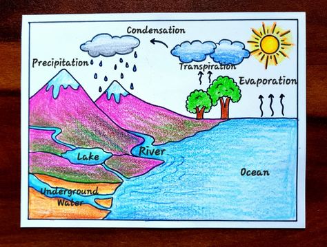 Video Tutorial uploaded on Amrita's_Artwork_333 YouTube channel. Subscribe for more creative Drawings and School Projects. Cycle Drawing Easy, Draw Water Cycle, Water Cycle Drawing, Water Cycle Project, Water Cycle Diagram, How To Draw Water, Cycle Drawing, Project Drawing, Creative Drawings