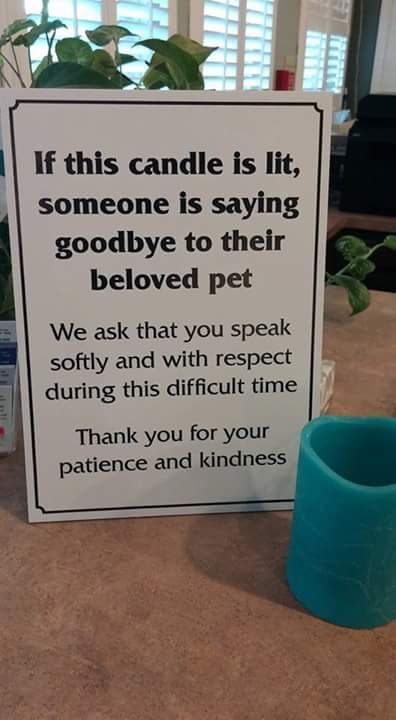 TᕼE GOOᗪ ᐯET & ᑭET GᑌIᗪE 🐾 on Twitter: "This is something all veterinary practices should adopt - it would really make a difference at such a traumatic time… " Vet Tech School, Vet Tech Student, Veterinary Tech, Vet Technician, Vet Office, Veterinary School, Veterinary Assistant, Vet Medicine, Vet Assistant