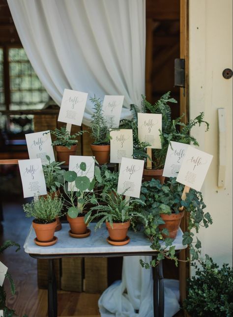 Potted Plant Altar Wedding, Herb Table Centerpieces, Modern Botanical Wedding, Fall Nature Wedding, Home Plants Decor, Potted Plant Centerpieces, Herb Wedding, Plant Centerpieces, Potted Ferns