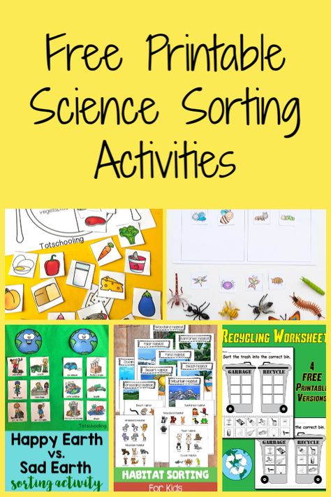 The Activity Mom - Free Printable Sorting Activities - The Activity Mom Science Center Preschool Free Printables, Free Printable File Folder Activities, Life Skills Kindergarten Activities, Teacch Activities Free Printable, Free Printable Books For Preschoolers, File Folder Activities Free Printables, Kindergarten Sorting Activities, Science Sorting Activities, Free Science Printables