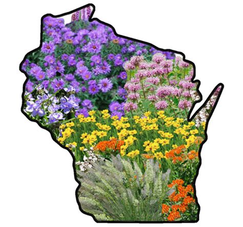 Wisconsin Native Plant Gardens – My Home Park Wisconsin Landscaping Ideas, Native Plant Landscape, Flower Garden Plans, Native Gardens, Native Plant Gardening, Shade Perennials, Pollinator Garden, Native Garden, Ornamental Plants