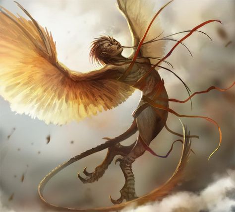 Harpies are easily killed by throwing food into the air and proceeding to shoot with silver arrows from a bow. Oc Pictures, Amazon Warriors, Greek Monsters, Mystical Beings, Winged People, Female Monster, Bird People, Monster Legends, Fantasy Pictures