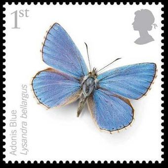 Adonis Blue Butterfly. Beautiful stamps for the second in a Royal Mail series (from 2008) intended to bring attention to endangered species. Pretty Stamps, Uk Stamps, Postage Stamp Design, Going Postal, Butterfly Stamp, Mail Stamp, Postage Stamp Art, Vintage Postage Stamps, Vintage Postage