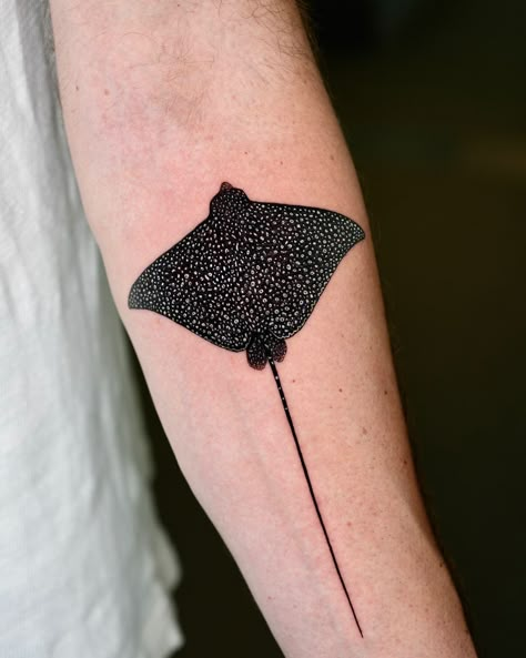 Roberto Pappalardo | Spotted eagle ray (Aetobatus narinari) The spotted eagle ray (Aetobatus narinari) is a cartilaginous fish of the eagle ray family… | Instagram Ray Fish Tattoo, Cartilaginous Fish, Scientific Tattoo, Mens Body Tattoos, Marine Tattoo, Stingray Tattoo, Spotted Eagle Ray, Ray Tattoo, Eagle Ray