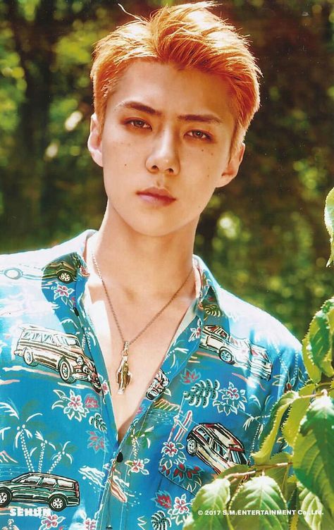 #EXO #SEHUN "KoKoBop" SD Card Ver.B Exo Kokobop, Ko Ko Bop, Hyun A, E Dawn, Exo Sehun, Exo Members, Oh Sehun, Exo Baekhyun, Boy Band