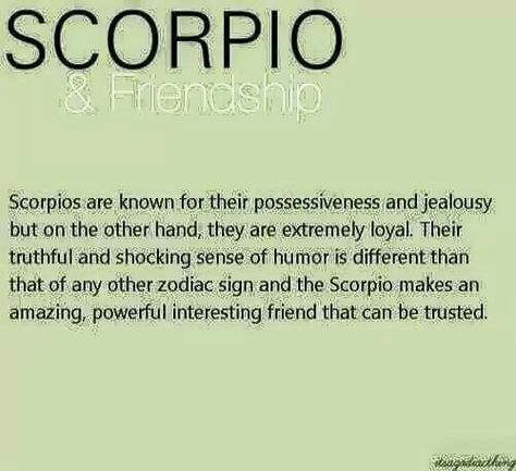 Scorpio & Friendship Scorpio Friendship, Melt Aesthetic, Scorpio Power, Moon Capricorn, Astrology Signs Scorpio, Scorpio Sun Sign, Libra Girl, Scorpio Personality, Libra Moon