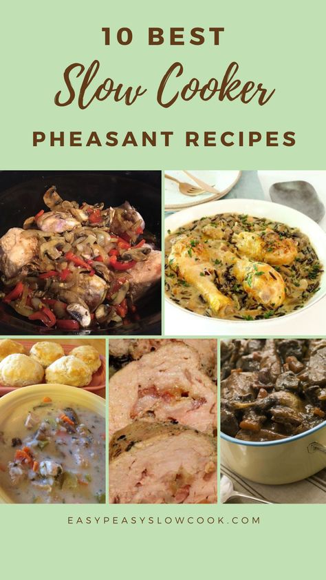 10 Best Slow Cooker Pheasant Recipes Pheasant Soup Recipes, Best Pheasant Recipes, Pheasant Casserole Recipes, Pheasant Recipes Baked, Whole Pheasant Recipes, Wild Pheasant Recipes, Pheasant Breast Recipes, Pheasant Recipes Crockpot, Pheasant Stew