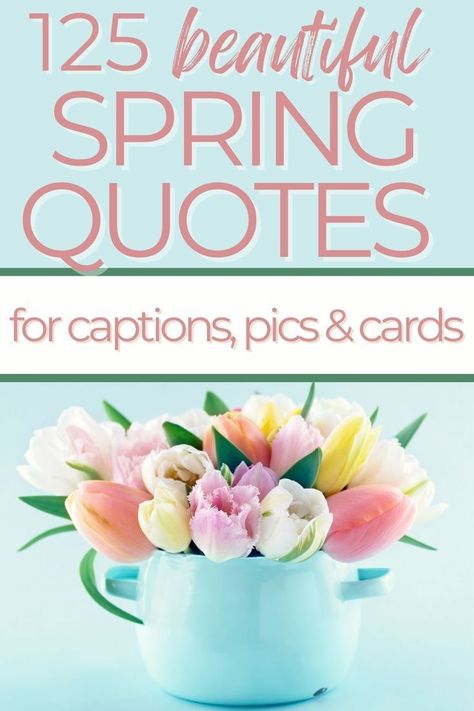 There’s just something special about the air in the springtime, and what better way to celebrate than with a collection of 125+ spring quotes? Whether you’re looking for some motivation to get moving or just want to take a moment to enjoy the season, these quotes are perfect for captions, picture, or cards and are sure to make you smile! #EasterCelebrations #EasterFashion #EasterFood #EasterDecor #EasterBrunch #EasterBaskets #Springtime #PastelColors #BunnyLove Quotes For Captions, Hello Spring Quotes, Springtime Quotes, Spring Message, Flower Quotes Inspirational, Spring Poem, April Quotes, Air Quotes, Weather Quotes