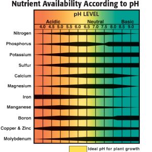 pH and element uptake Ph Chart, Vertical Container Gardening, Home Hydroponics, Aquaponic Gardening, One Step Forward, Atami, Aquaponics System, Hydroponics System, Hydroponic Gardening