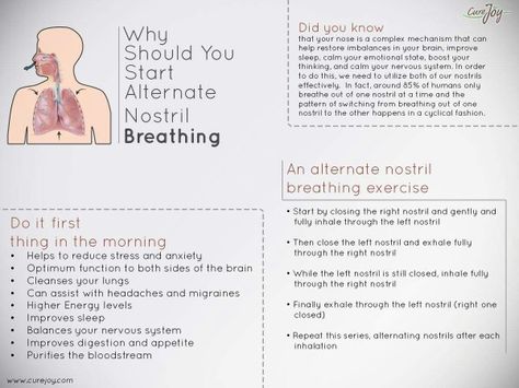 Why Should You Start Alternate Nostril Breathing Nostril Breathing, Yoga Sequencing, Yoga Breathing Techniques, Pranayama Breathing, Alternate Nostril Breathing, Daily Exercises, Yoga Breathing, Yoga Anatomy, Sleep Relaxation