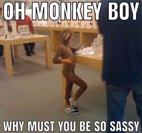 oh monkey boy why must you be so sassy Gay Little Monkey, Little Monkeys, Lose My Mind, Funny Me, Funny Laugh, Popular Memes, Reaction Pictures, Mood Pics, Funny Images