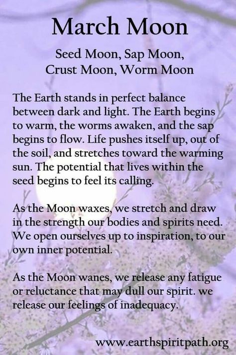 March Moon, Worm Moon, Full Moon Names, Moon Madness, Moon Meaning, Moon Names, Lunar Magic, Moon Spells, Connection To Nature