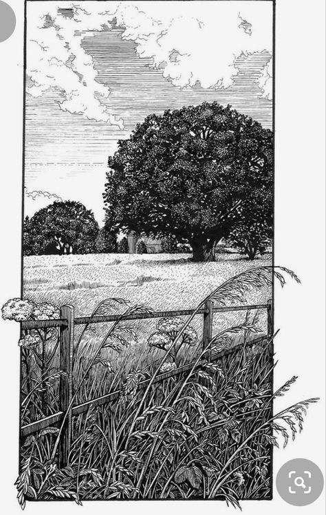 Philip Harris, Pen And Ink Drawings, Ink Pen Art, Pen Drawings, Pen Art Drawings, Landscape Sketch, Devon And Cornwall, Arte Sketchbook, Ink Drawing Illustration