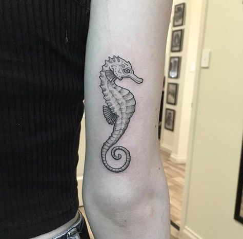 Seahorse Tattoos, Tattoo Mermaid, Starfish Tattoo, Horse Tattoo Design, Seahorse Tattoo, Ocean Tattoos, Mermaid Tattoos, Beautiful Tattoo, Sea Horse