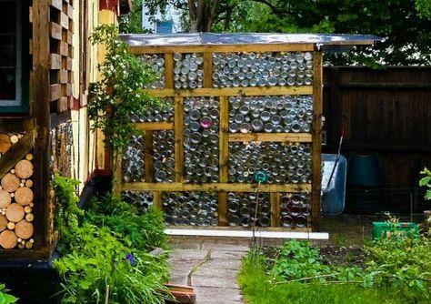 Glass jar greenhouse Greenhouse Diy, Water From Air, Diy Greenhouse Plans, Build A Greenhouse, Home Greenhouse, Small Greenhouse, Greenhouse Plans, Mini Greenhouse, Diy Greenhouse