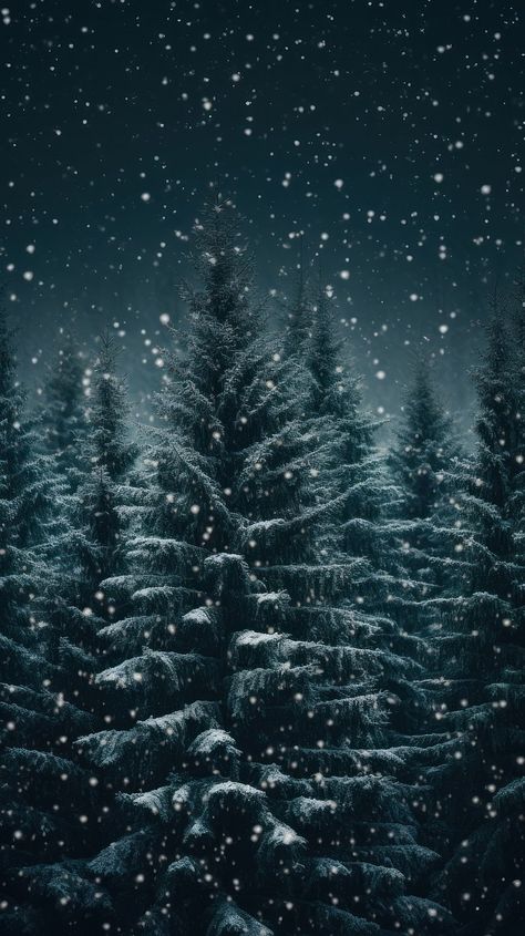 photo winter background snow and | Premium Photo - rawpixel Winter Pine Trees Wallpaper, Creepmas Wallpaper, Winter Night Wallpaper, Cold Wallpaper, Background Snow, Wallpaper Aesthetic Dark, Tree Wallpaper Iphone, Snowy Woods, Christmas Tree Wallpaper