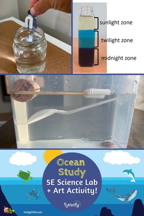 5, 4, 3, 2, 1! There are 5 oceans 4 (for) our students to explore in these 3 fun ocean activities consisting of 2 science experiments and 1 art project. First, we provide an overview of a famous oceanographer, outline a 5E Ocean Science unit, and provide instructions on a fun ocean zones in a bottle activity! Let’s dive in! Ocean Tides Activity, Ocean Stem Activities, Seabin Project, Ocean Science Activities, Ocean Education, Ocean Lesson Plans, Ocean Zones, Homeschool Stem, Ocean Habitat