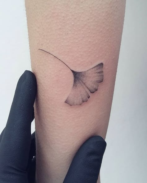 Ginko Biloba Tattoo, Ginkgo Tattoo, Green Tattoos, Tasteful Tattoos, Sun Tattoos, Cute Tiny Tattoos, Bee Tattoo, Discreet Tattoos, Ginkgo Biloba