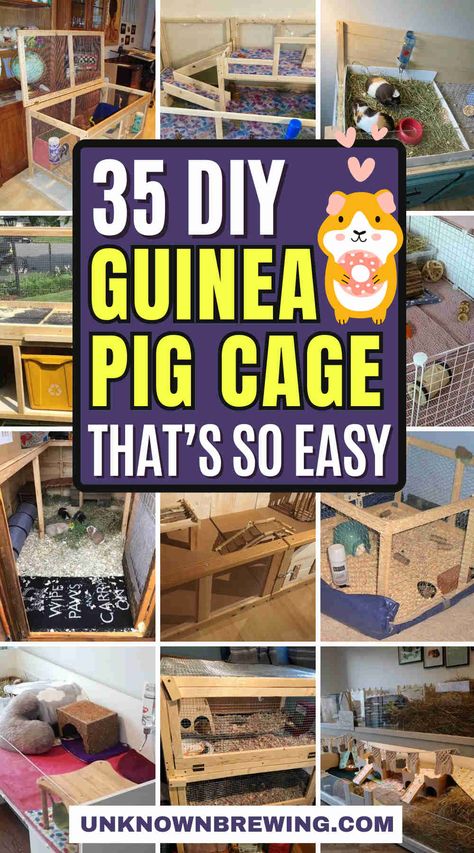 35 Creative DIY Guinea Pig Cage Ideas for Happy Pets Crochet Guinea Pig Accessories, Indoor Guinea Pig Cage Ideas, Cute Guinea Pig Cage Ideas, Guinea Pig Cage Ideas, Diy Guinea Pig Toys, Indoor Guinea Pig Cage, Cavy Cage, Guinea Pig Run, Pig Habitat