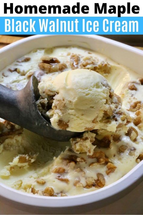 Learn how to make the best creamy homemade roasted black walnut ice cream. Our easy maple syrup walnut ice cream features organic maple syrup and chopped walnuts. Serve on cones, scooped in a bowl or add your favourite topping selection for a sundae. We love serving this Maple Walnut Ice Cream in the Fall during Thanksgiving with Autumn muffins, oatmeal cookies or fresh fruit. Black Walnut Ice Cream Recipe, Maple Walnut Ice Cream Recipe, Walnut Ice Cream Recipe, Autumn Muffins, Black Walnut Ice Cream, No Egg Ice Cream Recipe, Muffins Oatmeal, Maple Walnut Ice Cream, Maple Ice Cream