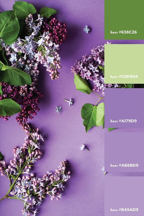 Purple Green Color Palette, Lavender Color Scheme, Lavender Color Palette, Pantone Green, Purple And Green Wedding, Green Branding, Green Color Palette, Purple Color Schemes, Pantone Colour Palettes