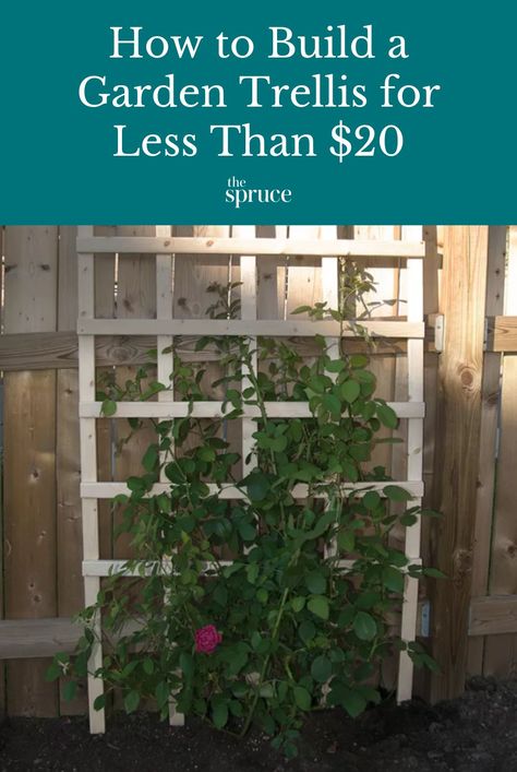 Simple Trellis Ideas, How To Build A Rose Trellis, Easy Diy Trellis Ideas, How To Make A Trellis Diy, How To Make A Trellis, Diy Clematis Trellis Ideas, Diy Rustic Trellis, Fence Trellis Ideas, Diy Wood Trellis