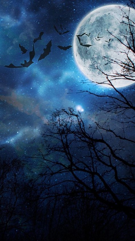 Halloween Artwork, Moon Pictures, 수채화 그림, Halloween Images, Beautiful Moon, Halloween Backgrounds, Arte Fantasy, Halloween Pictures, Pretty Wallpapers Backgrounds