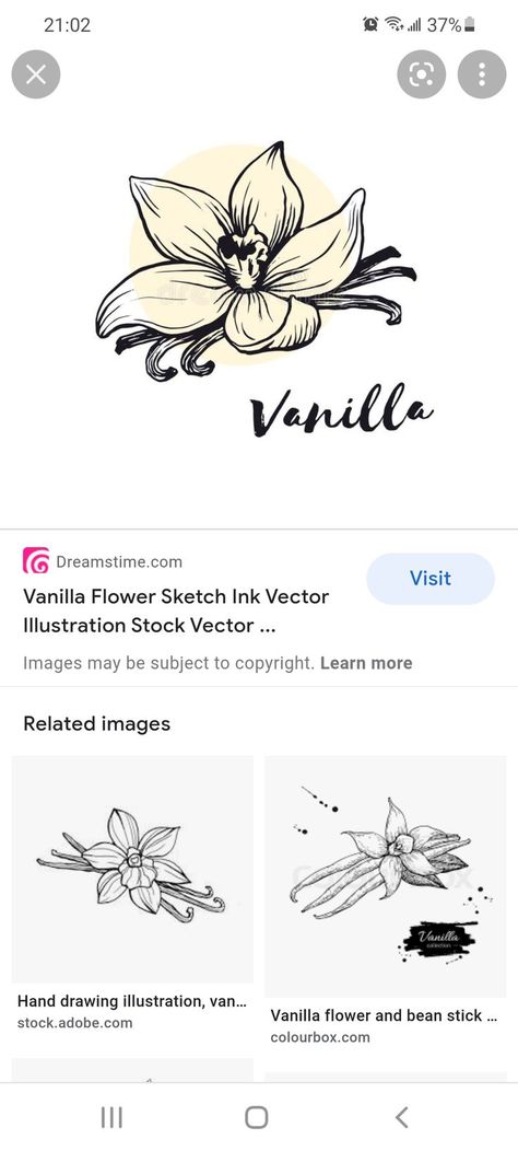 Vanilla Tattoo, Vanilla Flower, Flower Tat, Lotus Flower Tattoo, Flower Tattoos, Flower Tattoo, Tatting, Vanilla, Tattoos