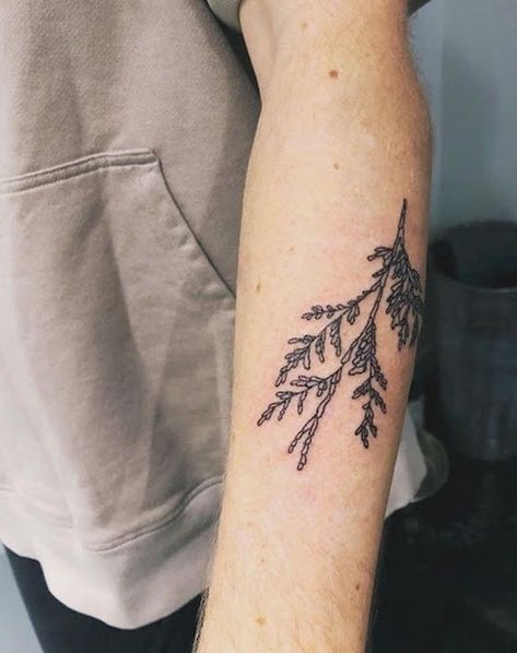 Oregon Tattoo, Le Tattoo, Tattoo Beautiful, Fern Tattoo, Branch Tattoo, Tasteful Tattoos, Fox Tattoo, Free Tattoo, Time Tattoos