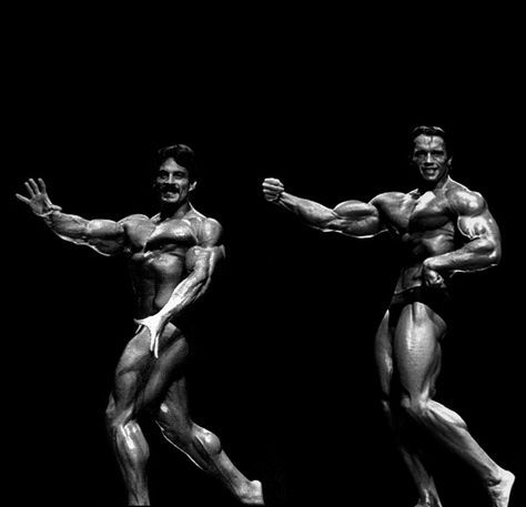 Mike Mentzer, Bodybuilding Equipment, Health Photography, Best Bodybuilder, Arnold Schwarzenegger Bodybuilding, Frank Zane, Schwarzenegger Bodybuilding, Fitness Event, Aesthetic Gym