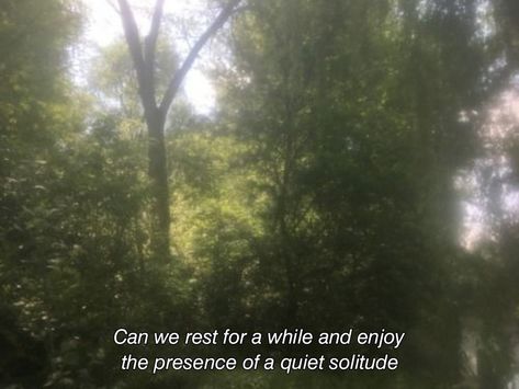 Photo credits to the rightful owner Quotes For Green Nature, Unspoken Words, Nature Aesthetic, Pretty Words, In The Woods, Life Is Beautiful, Beautiful Words, Mother Nature, Vision Board