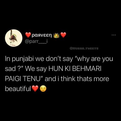 Funny Punjabi Tweets, Punjabi Memes Funny, Funny Punjabi Quotes, Punjabi Funny Quotes Desi Jokes, Punjabi Quotes Feelings, Refresh Quotes, Punjabi Funny Quotes, Punjabi Jokes, Really Funny Quotes