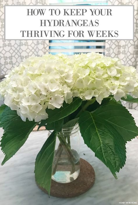 A blog about home decor and organization. Pruning Hydrangeas, Hydrangea Flower Arrangements, Hydrangea Landscaping, Hydrangea Vase, Floral Installation, Hydrangea Arrangements, Hydrangea Care, Dried Hydrangeas, Growing Hydrangeas