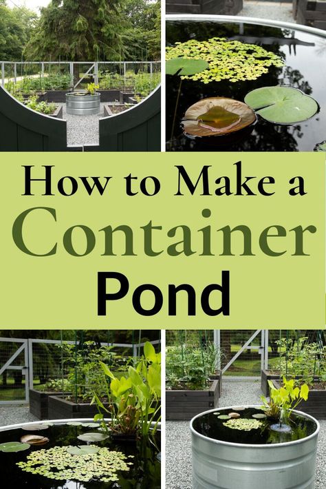 Stock Tank Pond Ideas Water Garden, Small Yard Ponds Ideas, Diy Ponds Backyard Simple Cheap, How To Make A Pond, Container Pond With Fish, Micro Pond, Pot Pond, Pond In A Pot, Patio Ponds