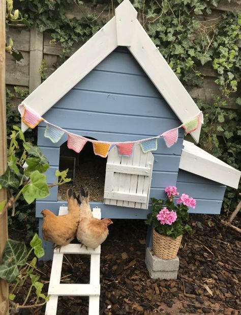 Pretty Chicken Coop, Silkie Chickens Coop, Lavender Chicken, Cute Chicken Coops, Duck Coop, Backyard Chicken Coop Plans, Chicken Coup, Blue Chicken, Backyard Chicken Farming