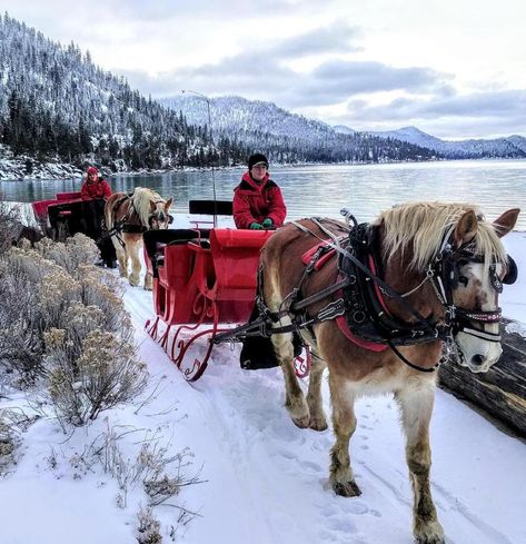 North Lake Tahoe Bucketlist: We are gearing up for our very first family snow trip to the Northstar Resort in Lake Tahoe and the anticipation is mounting. So, Lake Tahoe Snow, Tahoe Snow, Lake Tahoe Trip, Lake Tahoe Summer, Horse Drawn Sleigh, Lake Tahoe Winter, Tahoe Winter, Tahoe Lake, Tahoe Trip